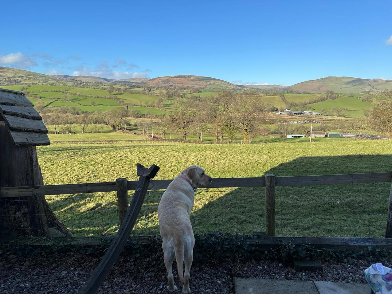 The Retreat Villa Llanrhaeadr-ym-Mochnant ภายนอก รูปภาพ
